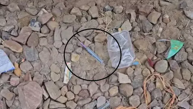 जालंधर वेस्ट में युवक की संदिग्ध मौत के बाद नशे पर सख्ती की मांग, शीतल अंगुराल ने उठाए सवाल जालंधर वेस्ट में युवक की संदिग्ध मौत के बाद नशे पर सख्ती की मांग, शीतल अंगुराल ने उठाए सवाल