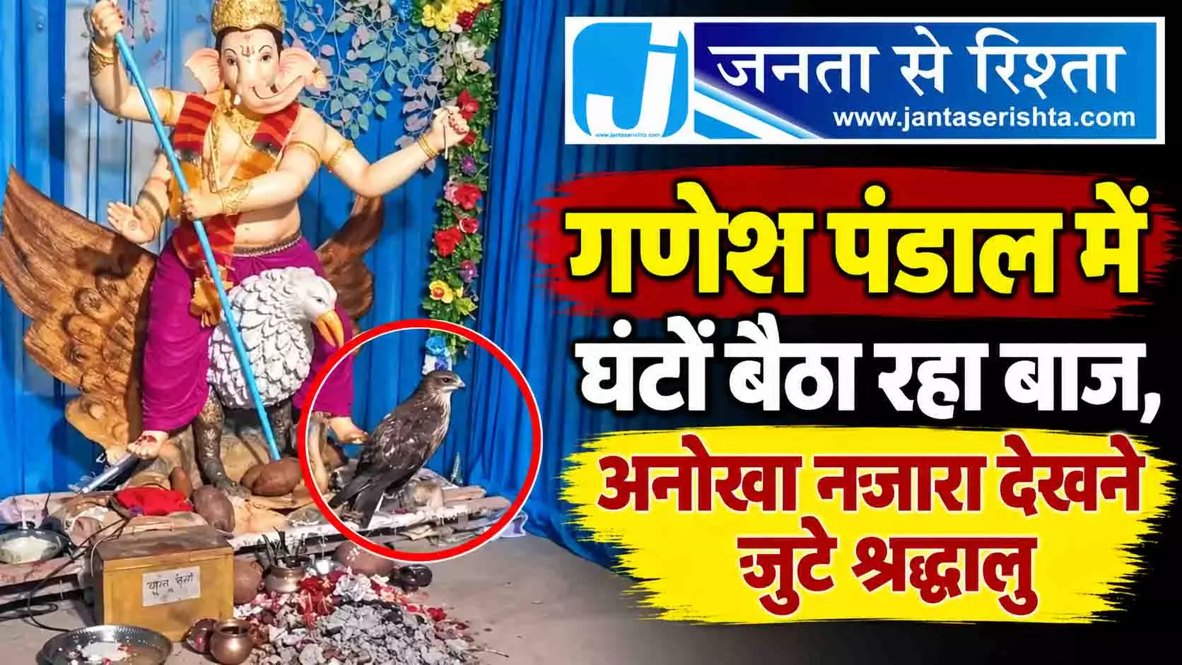 गणेश पंडाल में घंटों बैठा रहा बाज, अनोखा नजारा देखने जुटे श्रद्धालु गणेश पंडाल में घंटों बैठा रहा बाज, अनोखा नजारा देखने जुटे श्रद्धालु
