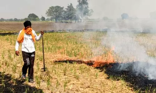 पंजाब में पराली जलाने के 27 मामले दर्ज, पटियाला में एक केस पर 5 हजार रुपये जुर्माना पंजाब में पराली जलाने के 27 मामले दर्ज, पटियाला में एक केस पर 5 हजार रुपये जुर्माना