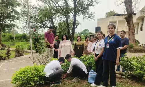 एनएसएस ने पौधरोपण अभियान से बढ़ाई पर्यावरण जागरूकता