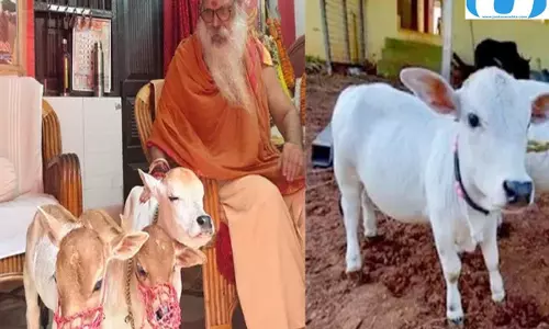 राधा सती और नंदी बनीं आकर्षण का केंद्र, देखने उमड़े श्रद्धालु