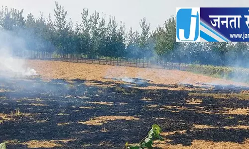 हरियाणा में पराली सुरक्षा बल तैनात हरियाणा में पराली सुरक्षा बल तैनात