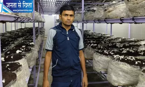 नौकरी का इंतजार छोड़ मशरूम की खेती को बनाया रोजगार