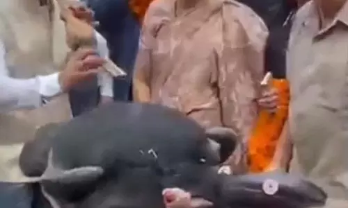 हिमाचल: सोलन कांग्रेस के विरोध प्रदर्शन को मिला संगीतमय मोड़!