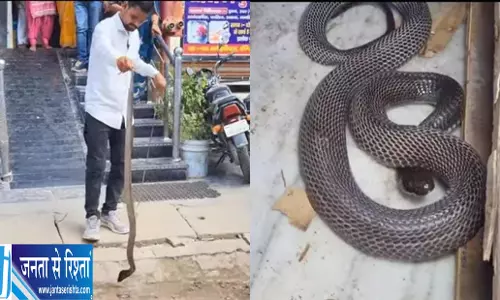 अस्पताल की लैब में निकले दो जहरीले सांप मचा हड़कंप