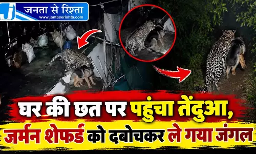 घर की छत पर पहुंचा तेंदुआ, जर्मन शेफर्ड को दबोचकर ले गया जंगल घर की छत पर पहुंचा तेंदुआ, जर्मन शेफर्ड को दबोचकर ले गया जंगल
