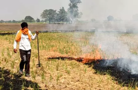 पंजाब में पराली जलाने के 27 मामले दर्ज, पटियाला में एक केस पर 5 हजार रुपये जुर्माना पंजाब में पराली जलाने के 27 मामले दर्ज, पटियाला में एक केस पर 5 हजार रुपये जुर्माना