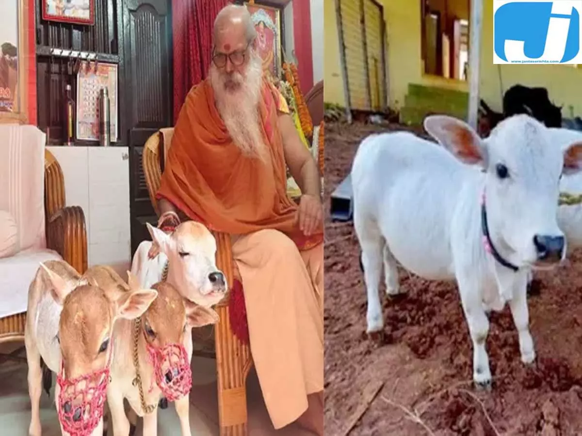 राधा सती और नंदी बनीं आकर्षण का केंद्र, देखने उमड़े श्रद्धालु राधा सती और नंदी बनीं आकर्षण का केंद्र, देखने उमड़े श्रद्धालु