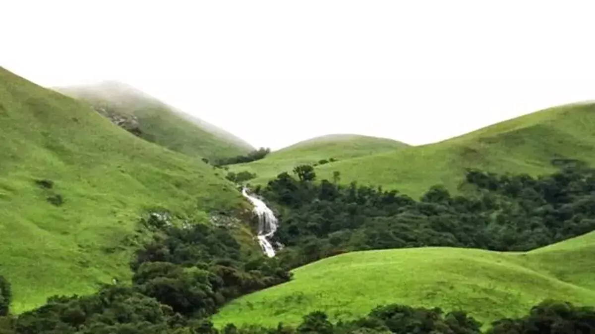 33 गांवों पर फैसला जल्द: केरल ने ESA मैप संशोधन की उठाई मांग 33 गांवों पर फैसला जल्द: केरल ने ESA मैप संशोधन की उठाई मांग