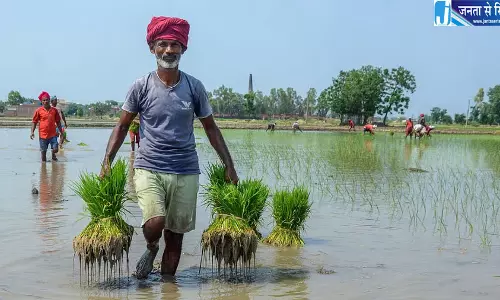 सूखा प्रभावित किसानों को 2,500 रुपये की मदद पर सवाल, विशेषज्ञों ने बताया नाकाफी सूखा प्रभावित किसानों को 2,500 रुपये की मदद पर सवाल, विशेषज्ञों ने बताया नाकाफी