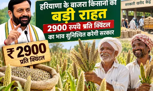 हरियाणा के बाजरा किसानों को बड़ी राहत, 2900 रुपये प्रति क्विंटल का भाव सुनिश्चित करेगी सरकार