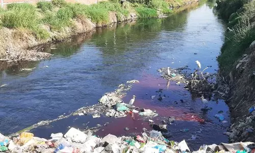 63 औद्योगिक इकाइयों में प्रदूषण नियमों का उल्लंघन 63 औद्योगिक इकाइयों में प्रदूषण नियमों का उल्लंघन