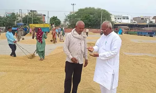 बासमती धान की आवक तेज, मंडी पहुंचा 7 हजार क्विंटल धान, भाव 4171 रुपये तक पहुंचा बासमती धान की आवक तेज, मंडी पहुंचा 7 हजार क्विंटल धान, भाव 4171 रुपये तक पहुंचा