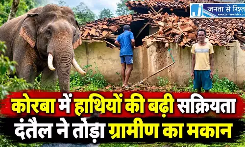 कोरबा में हाथियों की बढ़ी सक्रियता, दंतैल ने तोड़ा ग्रामीण का मकान