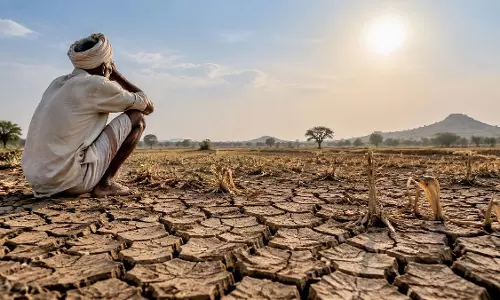 महाराष्ट्र के 265 तालुका सूखा प्रभावित घोषित, राज्य का 74 प्रतिशत इलाका दायरे में महाराष्ट्र के 265 तालुका सूखा प्रभावित घोषित, राज्य का 74 प्रतिशत इलाका दायरे में
