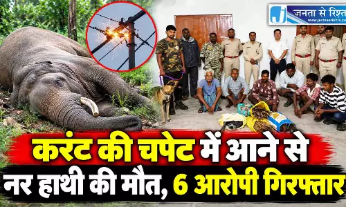 करंट की चपेट में आने से नर हाथी की मौत, 6 आरोपी गिरफ्तार