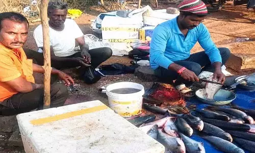 मोटर-साइकिल सह आइस बॉक्स योजना से राकेश धीवर के मछली व्यवसाय को मिला विस्तार मोटर-साइकिल सह आइस बॉक्स योजना से राकेश धीवर के मछली व्यवसाय को मिला विस्तार