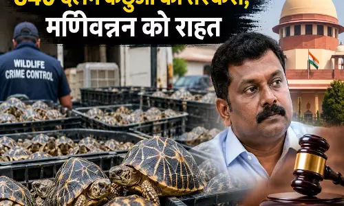 840 दुर्लभ कछुओं की तस्करी मणिवन्नन को राहत 840 दुर्लभ कछुओं की तस्करी मणिवन्नन को राहत
