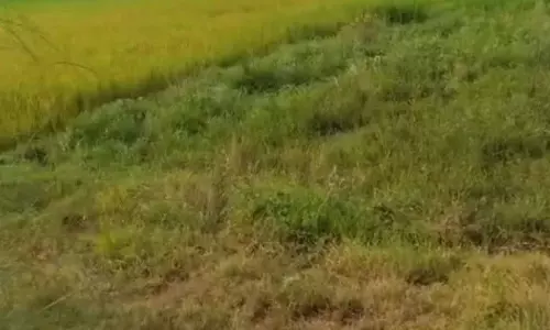 शराब नष्ट करने के दौरान खेत में बहा हजारों लीटर तरल, 13 कट्ठे की धान की फसल को नुकसान शराब नष्ट करने के दौरान खेत में बहा हजारों लीटर तरल, 13 कट्ठे की धान की फसल को नुकसान