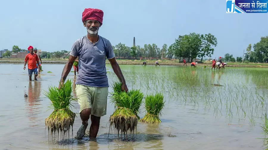 सूखा प्रभावित किसानों को 2,500 रुपये की मदद पर सवाल, विशेषज्ञों ने बताया नाकाफी सूखा प्रभावित किसानों को 2,500 रुपये की मदद पर सवाल, विशेषज्ञों ने बताया नाकाफी