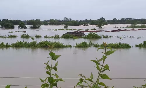 बस्तर में बारिश थमी, लेकिन नदियां उफान पर; प्रशासन अलर्ट
