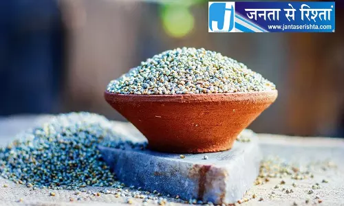हरियाणा किसानों ने बाजरे की कीमत पर उठाए सवाल हरियाणा किसानों ने बाजरे की कीमत पर उठाए सवाल