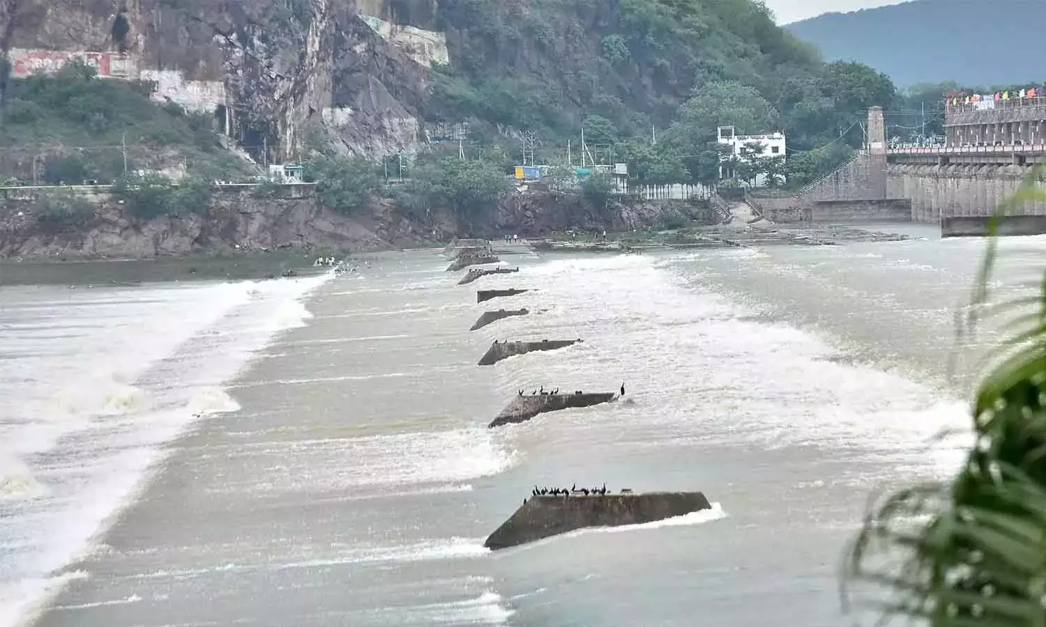 जलाशयों में 21 टीएमसी पानी बढ़ने से एपी बाढ़ की वृद्धि को पकड़ने के लिए आगे बढ़ रहा है