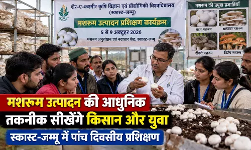 मशरूम उत्पादन की आधुनिक तकनीक सीखेंगे किसान और युवा, स्कास्ट-जम्मू में पांच दिवसीय प्रशिक्षण मशरूम उत्पादन की आधुनिक तकनीक सीखेंगे किसान और युवा, स्कास्ट-जम्मू में पांच दिवसीय प्रशिक्षण
