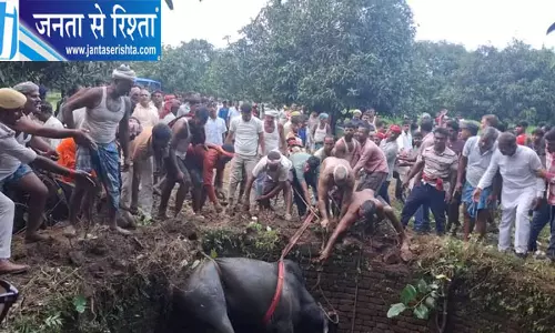 आपस में लड़ते हुए गहरे कुएं में गिरे दो सांड, हाइड्रा क्रेन की मदद से चला रेस्क्यू ऑपरेशन आपस में लड़ते हुए गहरे कुएं में गिरे दो सांड, हाइड्रा क्रेन की मदद से चला रेस्क्यू ऑपरेशन