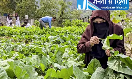 जम्मू-कश्मीर के स्कूल ने पेश की मिसाल जम्मू-कश्मीर के स्कूल ने पेश की मिसाल