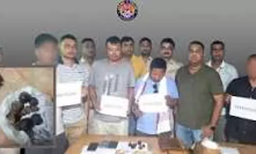 सोनापुर में कस्तूरी मृग की 6 थैलियां बरामद, दो गिरफ्तार सोनापुर में कस्तूरी मृग की 6 थैलियां बरामद, दो गिरफ्तार