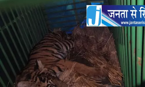 सिमिलिपाल में शावक की सेहत बेहतर