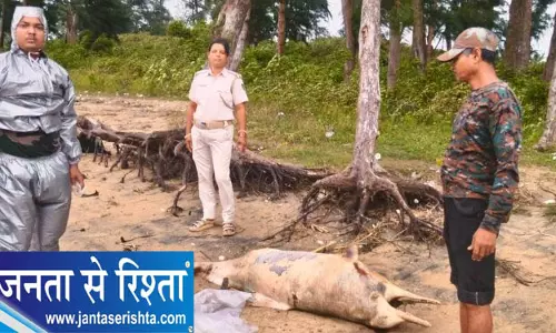 ओडिशा के बालेश्वर में दो डॉल्फ़िन मृत पाई गईं