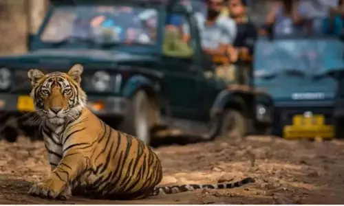 बारिश से कोसी नदी का जलस्तर बढ़ा, कॉर्बेट में जंगल सफारी बंद