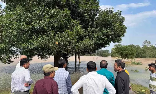 वनमंत्री केदार कश्यप ने बस्तर के बाढ़ प्रभावित क्षेत्रों का लिया जायजा वनमंत्री केदार कश्यप ने बस्तर के बाढ़ प्रभावित क्षेत्रों का लिया जायजा