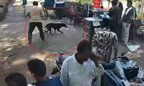 काले कुत्ते का आतंक, दो चार नहीं 35 लोगों को बनाया निशाना
