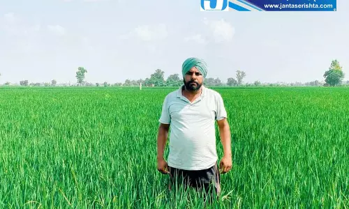 अमृतसर किसान ने अपनाई नई खेती