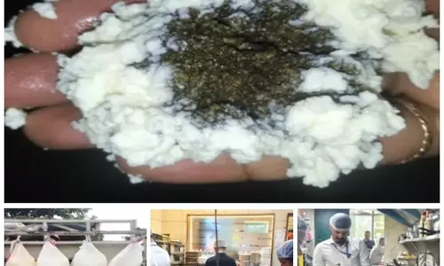 ओडिशा में मिलावटी खाद्य पदार्थों पर सख्ती, दो साल में 431 मामले दर्ज; 71 क्विंटल पनीर नष्ट ओडिशा में मिलावटी खाद्य पदार्थों पर सख्ती, दो साल में 431 मामले दर्ज; 71 क्विंटल पनीर नष्ट
