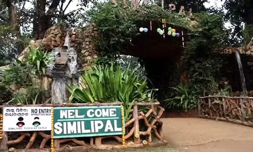 सिमिलिपाल में 2 किमी लंबी पहाड़ी ढह गई सिमिलिपाल में 2 किमी लंबी पहाड़ी ढह गई