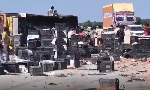 दो कंटेनर भिड़े, सड़क पर बिखरे टमाटर से थमा ट्रैफिक दो कंटेनर भिड़े, सड़क पर बिखरे टमाटर से थमा ट्रैफिक