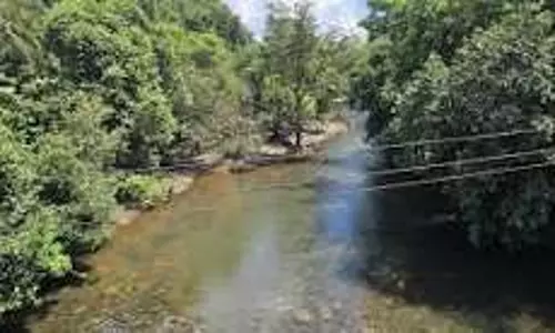 20 दिनों से बारिश न होने से सत्तरी के किसान परेशान 20 दिनों से बारिश न होने से सत्तरी के किसान परेशान