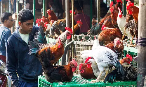 गांधी जयंती से पहले PETA की अपील मीट विज्ञापनों पर रोक की मांग