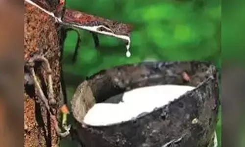 रबर उत्पादकों को निर्माण कार्य का प्रशिक्षण दिया गया