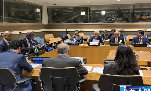 वैश्विक संस्थाओं में सुधार पर IBSA का फोकस UNSC में बदलाव की मांग उठी