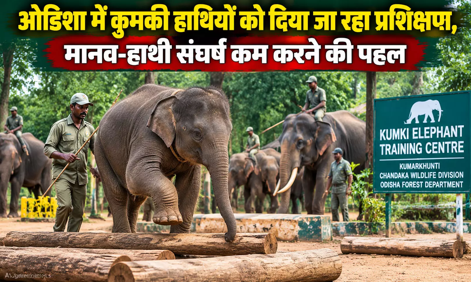 ओडिशा में कुमकी हाथियों को दिया जा रहा प्रशिक्षण, मानव-हाथी संघर्ष कम करने की पहल ओडिशा में कुमकी हाथियों को दिया जा रहा प्रशिक्षण, मानव-हाथी संघर्ष कम करने की पहल