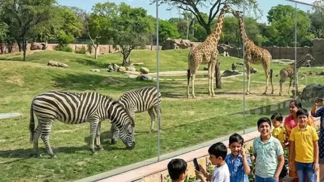 8 दिन तक मुफ्त रहेगी चिड़ियाघर एंट्री 8 दिन तक मुफ्त रहेगी चिड़ियाघर एंट्री