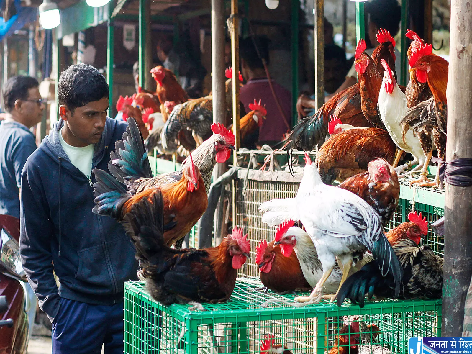 गांधी जयंती से पहले PETA की अपील मीट विज्ञापनों पर रोक की मांग गांधी जयंती से पहले PETA की अपील मीट विज्ञापनों पर रोक की मांग