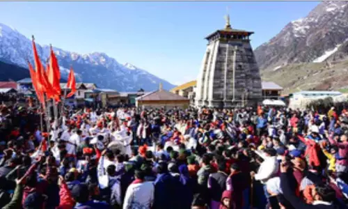 मंडी में रेशम किसानों के लिए बड़ी पहल मंडी में रेशम किसानों के लिए बड़ी पहल
