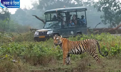 बांदीपुर और नागरहोल सफारी वाहनों में GPS ट्रैकर अनिवार्य, डैश कैम से भी होगी निगरानी बांदीपुर और नागरहोल सफारी वाहनों में GPS ट्रैकर अनिवार्य, डैश कैम से भी होगी निगरानी