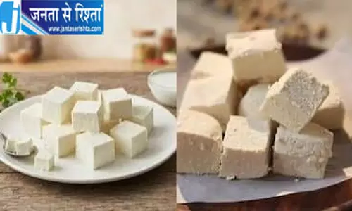नकली पनीर पर सरकार ने मांगी रिपोर्ट